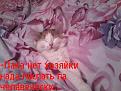 Нажмите на изображение для увеличения.

Название:	za.jpeg
Просмотров:	256
Размер:	79.9 Кб
ID:	3542484