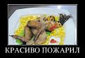 Нажмите на изображение для увеличения.

Название:	xx.jpeg
Просмотров:	275
Размер:	39.3 Кб
ID:	3542490