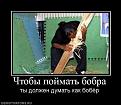Нажмите на изображение для увеличения.

Название:	поймать бобра.jpg
Просмотров:	286
Размер:	35.2 Кб
ID:	3542663