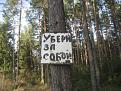 Нажмите на изображение для увеличения.

Название:	березина 010.jpg
Просмотров:	1368
Размер:	64.1 Кб
ID:	3542886