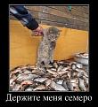Нажмите на изображение для увеличения.

Название:	s3img_286717449_4126_1.jpg
Просмотров:	258
Размер:	64.0 Кб
ID:	3542932