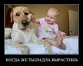 Нажмите на изображение для увеличения.

Название:	6pWSTODyWnw.jpg
Просмотров:	1542
Размер:	48.3 Кб
ID:	3542946