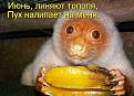 Нажмите на изображение для увеличения.

Название:	s3img_12398122_51388_23.jpg
Просмотров:	346
Размер:	49.7 Кб
ID:	3543075