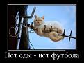 Нажмите на изображение для увеличения.

Название:	tn-1.jpg
Просмотров:	248
Размер:	46.1 Кб
ID:	3543223