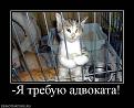 Нажмите на изображение для увеличения.

Название:	x_b05021ed1.jpg
Просмотров:	334
Размер:	55.4 Кб
ID:	3543242