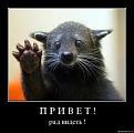 Нажмите на изображение для увеличения.

Название:	апр.jpg
Просмотров:	263
Размер:	7.0 Кб
ID:	3543297