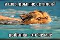 Нажмите на изображение для увеличения.

Название:	MP.jpeg
Просмотров:	285
Размер:	10.8 Кб
ID:	3543372