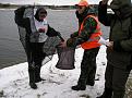 Нажмите на изображение для увеличения.

Название:	P1010289.JPG
Просмотров:	1066
Размер:	133.2 Кб
ID:	3543430