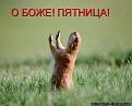 Нажмите на изображение для увеличения.

Название:	event-3916.jpg
Просмотров:	281
Размер:	43.9 Кб
ID:	3543575