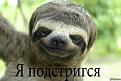 Нажмите на изображение для увеличения.

Название:	кто это3.jpg
Просмотров:	288
Размер:	35.3 Кб
ID:	3544143