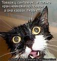 Нажмите на изображение для увеличения.

Название:	0_4f1dc_e24a4428_XL.jpeg
Просмотров:	263
Размер:	47.9 Кб
ID:	3544670