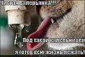 Нажмите на изображение для увеличения.

Название:	chistaya-valeryanka_1279207639.jpg
Просмотров:	319
Размер:	47.8 Кб
ID:	3544674