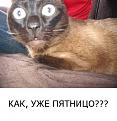 Нажмите на изображение для увеличения.

Название:	funpic.jpg
Просмотров:	320
Размер:	26.2 Кб
ID:	3544710