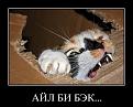 Нажмите на изображение для увеличения.

Название:	s3img_12398122_40075_9.jpg
Просмотров:	324
Размер:	48.1 Кб
ID:	3544711