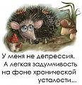 Нажмите на изображение для увеличения.

Название:	306762_444275618962580_975621303_n.jpg
Просмотров:	251
Размер:	50.9 Кб
ID:	3544754