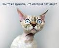 Нажмите на изображение для увеличения.

Название:	f_8e646c2ddfed651f370a2fa18b1635fb2236ba91.jpg
Просмотров:	304
Размер:	31.9 Кб
ID:	3544838