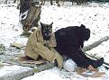 Нажмите на изображение для увеличения.

Название:	AD.jpg
Просмотров:	247
Размер:	68.1 Кб
ID:	3544867
