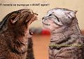 Нажмите на изображение для увеличения.

Название:	МР.jpg
Просмотров:	261
Размер:	33.5 Кб
ID:	3544885