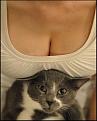 Нажмите на изображение для увеличения.

Название:	s3img_12398122_35996_6.jpg
Просмотров:	311
Размер:	54.5 Кб
ID:	3544889