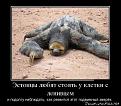 Нажмите на изображение для увеличения.

Название:	1.jpg
Просмотров:	1748
Размер:	172.9 Кб
ID:	3544901