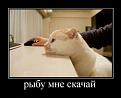 Нажмите на изображение для увеличения.

Название:	f_8fde036f86d1d39c50f1218d725f4062ad1bcd11.jpg
Просмотров:	275
Размер:	25.9 Кб
ID:	3544971
