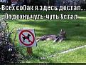 Нажмите на изображение для увеличения.

Название:	vseh-sobak-dostal_1313227036.jpg
Просмотров:	285
Размер:	57.5 Кб
ID:	3544995