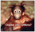 Нажмите на изображение для увеличения.

Название:	павы.jpg
Просмотров:	333
Размер:	41.6 Кб
ID:	3545034