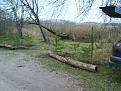 Нажмите на изображение для увеличения.

Название:	DSC00011.jpg
Просмотров:	894
Размер:	197.3 Кб
ID:	3545079