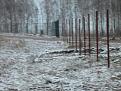 Нажмите на изображение для увеличения.

Название:	SAM_0506.jpg
Просмотров:	543
Размер:	189.0 Кб
ID:	3545351
