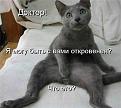 Нажмите на изображение для увеличения.

Название:	x_d7787993.jpg
Просмотров:	279
Размер:	42.4 Кб
ID:	3545699