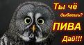Нажмите на изображение для увеличения.

Название:	1216420110_pjatnica_24_foto_2.jpg
Просмотров:	288
Размер:	41.6 Кб
ID:	3545740