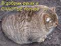 Нажмите на изображение для увеличения.

Название:	f_f737e0c9f8dc6536da5459e40c5a71fd00bdda2f.jpg
Просмотров:	324
Размер:	57.5 Кб
ID:	3545886