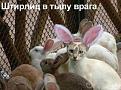 Нажмите на изображение для увеличения.

Название:	k1ah07.jpg
Просмотров:	281
Размер:	44.4 Кб
ID:	3546291