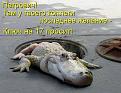 Нажмите на изображение для увеличения.

Название:	Один из бригадиров товариша.jpg
Просмотров:	678
Размер:	61.0 Кб
ID:	3546370