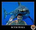 Нажмите на изображение для увеличения.

Название:	3.jpg
Просмотров:	307
Размер:	34.3 Кб
ID:	3546424