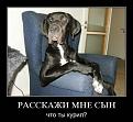 Нажмите на изображение для увеличения.

Название:	8.jpg
Просмотров:	304
Размер:	93.7 Кб
ID:	3546429