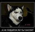 Нажмите на изображение для увеличения.

Название:	33.jpg
Просмотров:	443
Размер:	33.4 Кб
ID:	3547061