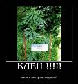 Нажмите на изображение для увеличения.

Название:	9878159c1e35.jpg
Просмотров:	950
Размер:	51.1 Кб
ID:	3547070