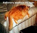 Нажмите на изображение для увеличения.

Название:	111.jpg
Просмотров:	357
Размер:	52.0 Кб
ID:	3547225