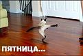Нажмите на изображение для увеличения.

Название:	МР пятница.jpg
Просмотров:	302
Размер:	41.6 Кб
ID:	3547673