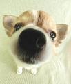 Нажмите на изображение для увеличения.

Название:	025_pupp.jpg
Просмотров:	242
Размер:	25.4 Кб
ID:	3547790