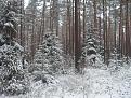 Нажмите на изображение для увеличения.

Название:	SDC11372.jpg
Просмотров:	1006
Размер:	212.8 Кб
ID:	3548142