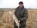 Нажмите на изображение для увеличения.

Название:	SDC11348.jpg
Просмотров:	318
Размер:	119.9 Кб
ID:	3548200