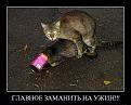 Нажмите на изображение для увеличения.

Название:	мр 3.jpg
Просмотров:	286
Размер:	56.0 Кб
ID:	3548295