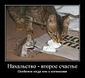 Нажмите на изображение для увеличения.

Название:	мр+jiud.jpg
Просмотров:	308
Размер:	38.3 Кб
ID:	3548547