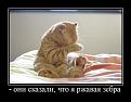 Нажмите на изображение для увеличения.

Название:	МегаРысь.jpg
Просмотров:	340
Размер:	26.6 Кб
ID:	3548631