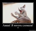 Нажмите на изображение для увеличения.

Название:	f_4b9cfe20880cb730e9fb98f22dec9e2268a9706b.jpg
Просмотров:	290
Размер:	23.4 Кб
ID:	3548640