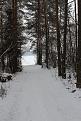 Нажмите на изображение для увеличения.

Название:	IMG_3744.jpg
Просмотров:	1288
Размер:	102.2 Кб
ID:	3548745
