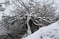 Нажмите на изображение для увеличения.

Название:	IMG_3748.jpg
Просмотров:	946
Размер:	166.9 Кб
ID:	3548747