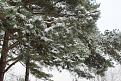 Нажмите на изображение для увеличения.

Название:	IMG_3753.jpg
Просмотров:	986
Размер:	150.1 Кб
ID:	3548754